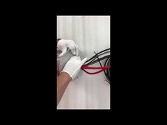 ईथरनेट स्लिप रिंग ECN000-21P-06S-01EG